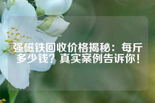 强磁铁回收价格揭秘：每斤多少钱？真实案例告诉你！