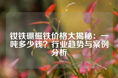 钕铁硼磁铁价格大揭秘：一吨多少钱？行业趋势与案例分析