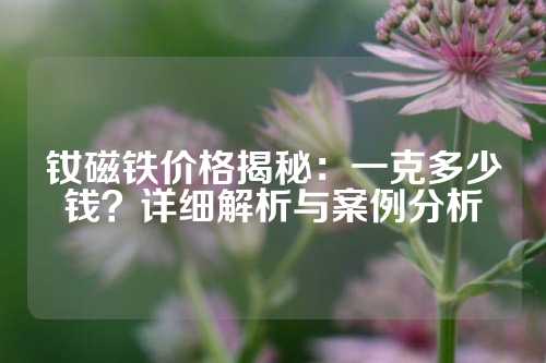 钕磁铁价格揭秘：一克多少钱？详细解析与案例分析