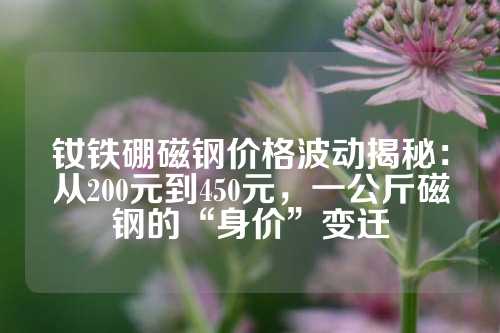 钕铁硼磁钢价格波动揭秘：从200元到450元，一公斤磁钢的“身价”变迁