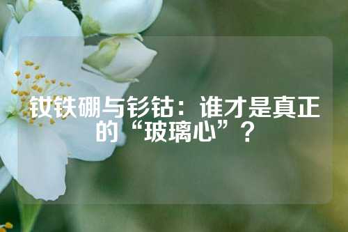 钕铁硼与钐钴：谁才是真正的“玻璃心”？