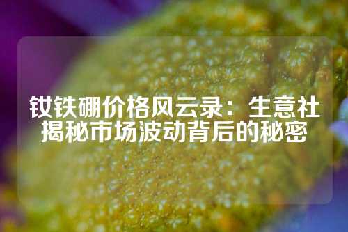 钕铁硼价格风云录：生意社揭秘市场波动背后的秘密