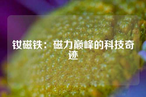 钕磁铁：磁力巅峰的科技奇迹