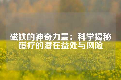 磁铁的神奇力量：科学揭秘磁疗的潜在益处与风险