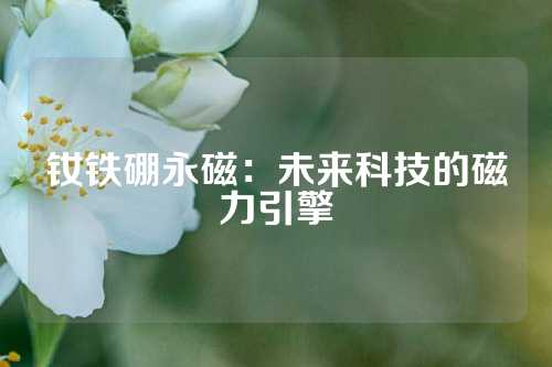 钕铁硼永磁：未来科技的磁力引擎