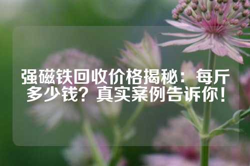 强磁铁回收价格揭秘：每斤多少钱？真实案例告诉你！