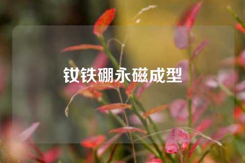 钕铁硼永磁成型