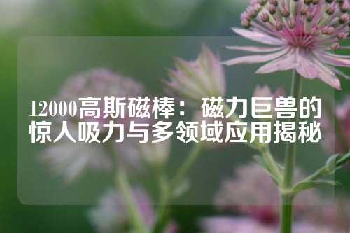 12000高斯磁棒：磁力巨兽的惊人吸力与多领域应用揭秘