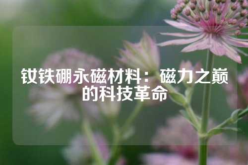 钕铁硼永磁材料：磁力之巅的科技革命