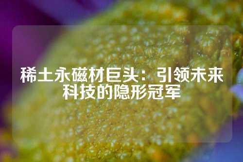 稀土永磁材巨头：引领未来科技的隐形冠军