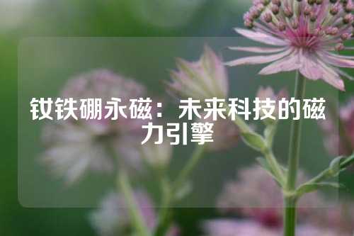 钕铁硼永磁：未来科技的磁力引擎