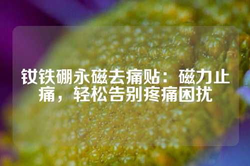 钕铁硼永磁去痛贴：磁力止痛，轻松告别疼痛困扰