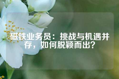 磁铁业务员：挑战与机遇并存，如何脱颖而出？