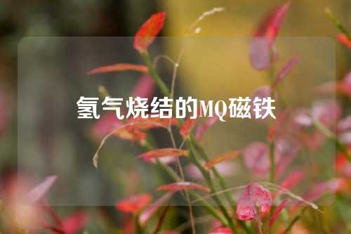 氢气烧结的MQ磁铁