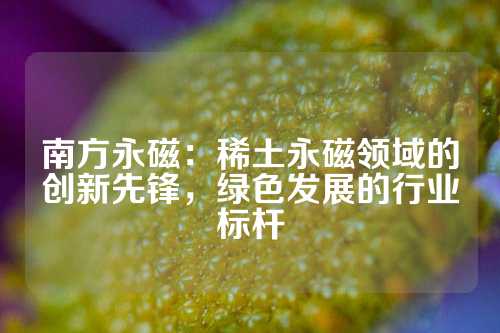 南方永磁：稀土永磁领域的创新先锋，绿色发展的行业标杆