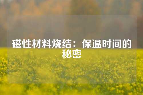 磁性材料烧结：保温时间的秘密