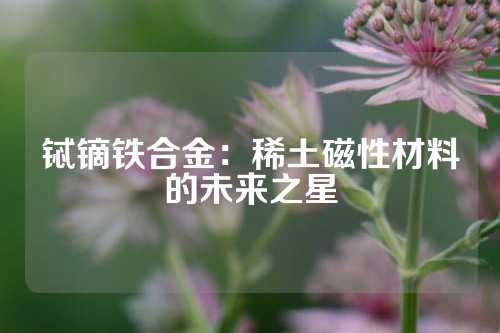 铽镝铁合金：稀土磁性材料的未来之星