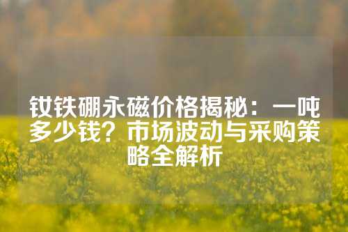 钕铁硼永磁价格揭秘：一吨多少钱？市场波动与采购策略全解析