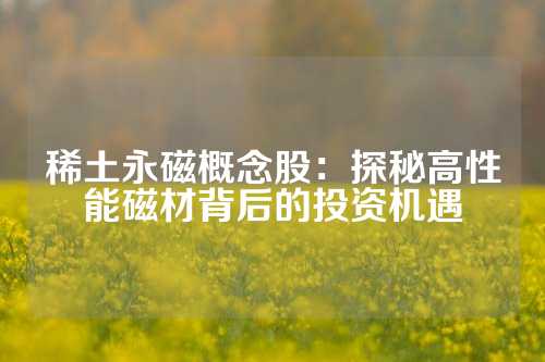 稀土永磁概念股：探秘高性能磁材背后的投资机遇