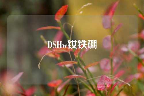 DSHw钕铁硼