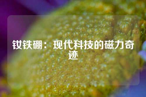 钕铁硼：现代科技的磁力奇迹