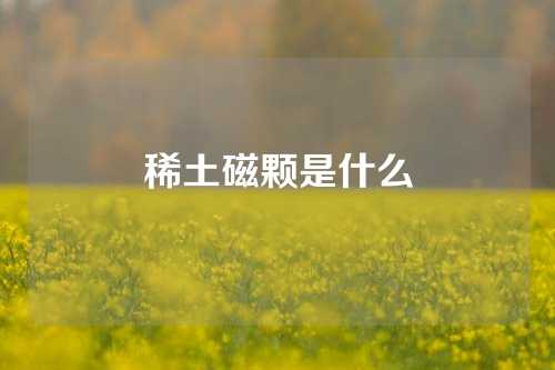 稀土磁颗是什么