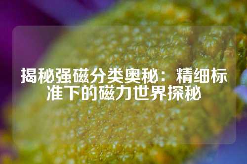 揭秘强磁分类奥秘：精细标准下的磁力世界探秘