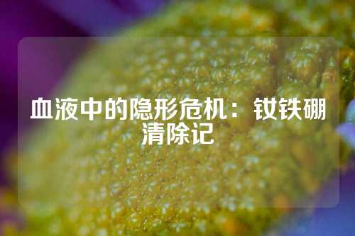 血液中的隐形危机：钕铁硼清除记