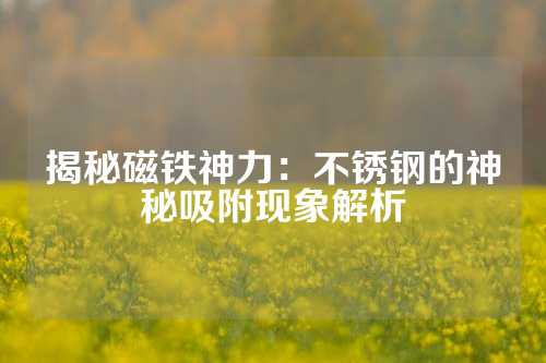 揭秘磁铁神力：不锈钢的神秘吸附现象解析