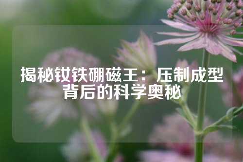 揭秘钕铁硼磁王：压制成型背后的科学奥秘