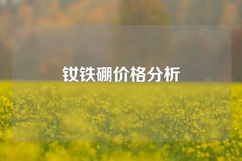 钕铁硼价格分析