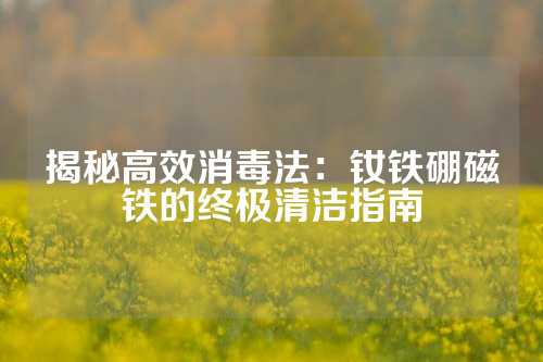 揭秘高效消毒法：钕铁硼磁铁的终极清洁指南