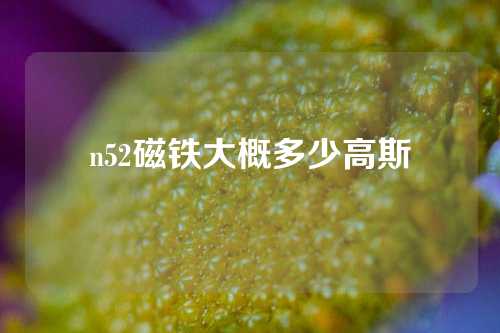 n52磁铁大概多少高斯