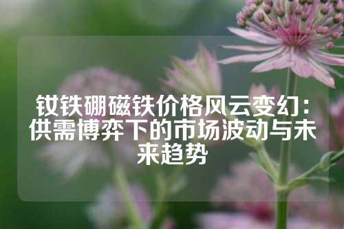 钕铁硼磁铁价格风云变幻：供需博弈下的市场波动与未来趋势