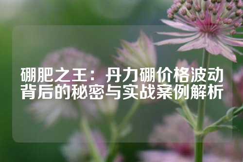 硼肥之王：丹力硼价格波动背后的秘密与实战案例解析