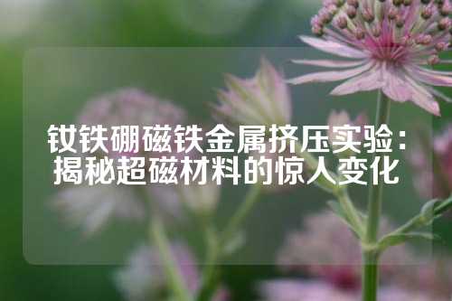 钕铁硼磁铁金属挤压实验：揭秘超磁材料的惊人变化