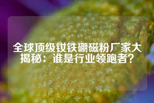 全球顶级钕铁硼磁粉厂家大揭秘：谁是行业领跑者？