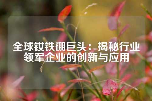 全球钕铁硼巨头：揭秘行业领军企业的创新与应用