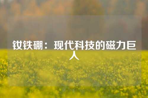 钕铁硼：现代科技的磁力巨人