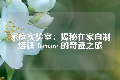 家庭实验室：揭秘在家自制熔铁 furnace 的奇迹之旅