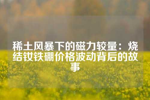 稀土风暴下的磁力较量：烧结钕铁硼价格波动背后的故事