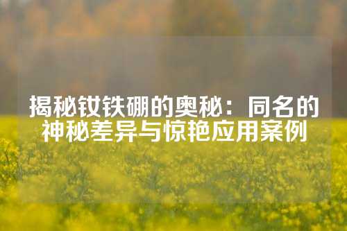 揭秘钕铁硼的奥秘：同名的神秘差异与惊艳应用案例