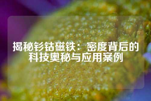 揭秘钐钴磁铁：密度背后的科技奥秘与应用案例