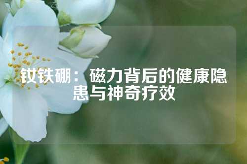 钕铁硼：磁力背后的健康隐患与神奇疗效