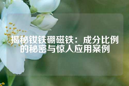 揭秘钕铁硼磁铁：成分比例的秘密与惊人应用案例