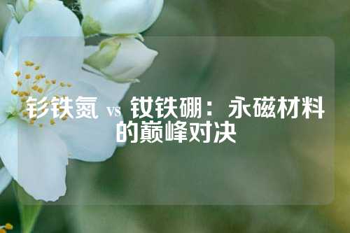 钐铁氮 vs 钕铁硼：永磁材料的巅峰对决