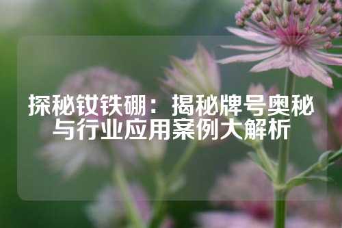 探秘钕铁硼：揭秘牌号奥秘与行业应用案例大解析