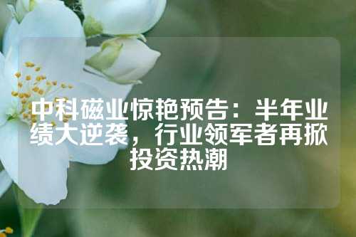 中科磁业惊艳预告：半年业绩大逆袭，行业领军者再掀投资热潮