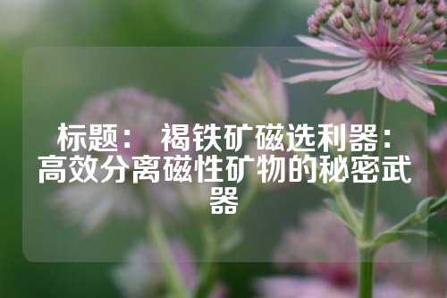 标题： 褐铁矿磁选利器：高效分离磁性矿物的秘密武器