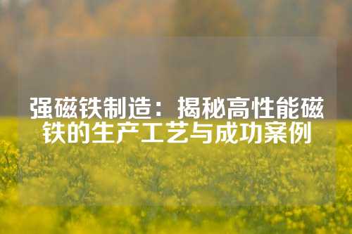 强磁铁制造：揭秘高性能磁铁的生产工艺与成功案例